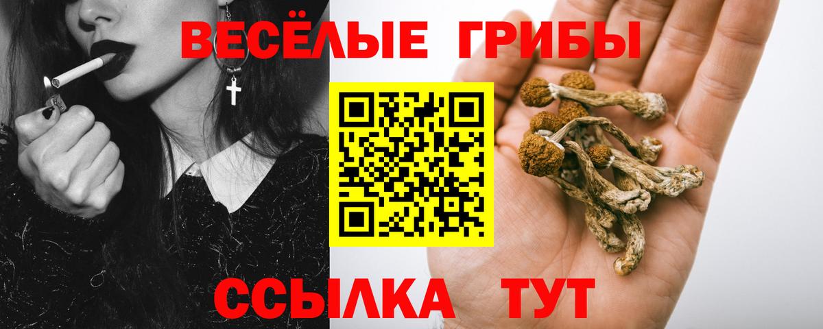 Псилоцибиновые грибы Magic Shrooms Чехов
